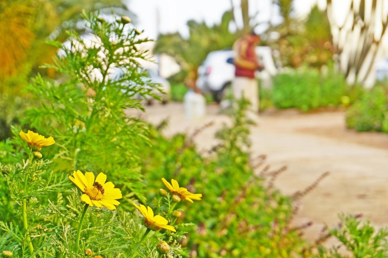 The Touristic Promenade Apartment ฮูร์กาดา ภายนอก รูปภาพ